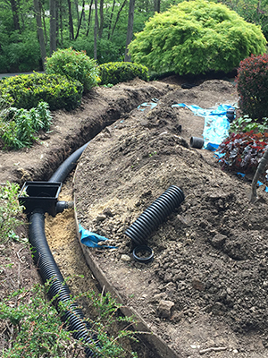 Drainage Solutions Richardson